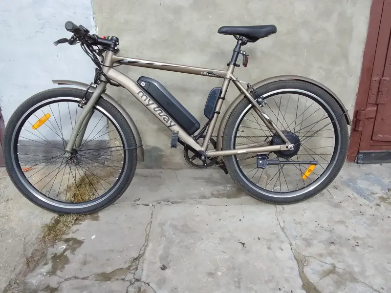 Электровелосипед My Way Let 250