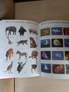 Книга. Самая нужная книга умного малыша.