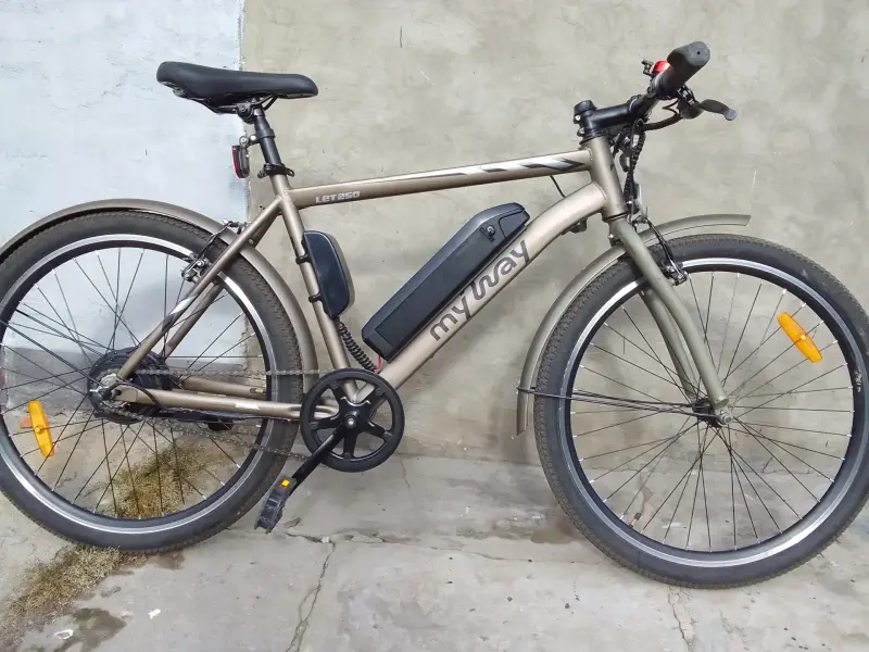 Электровелосипед My Way Let 250