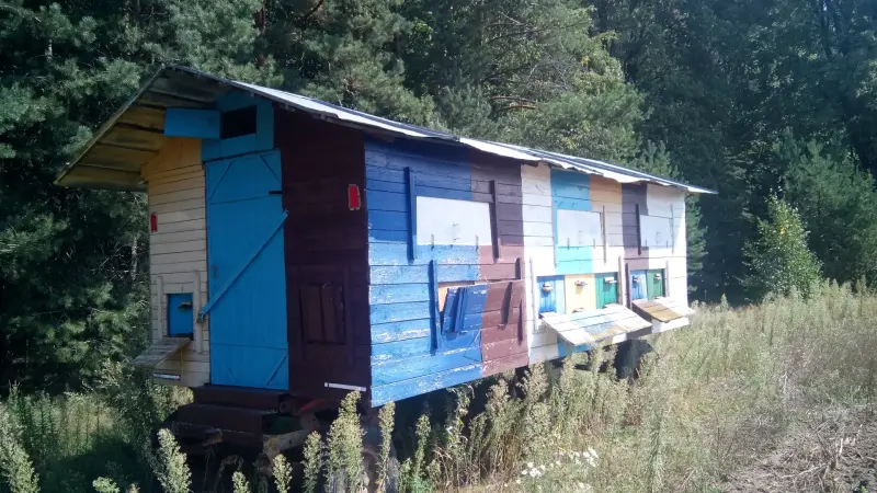Передвижная пасека