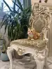 В дар прекрасный ласковый котёнок-мальчик Лучик