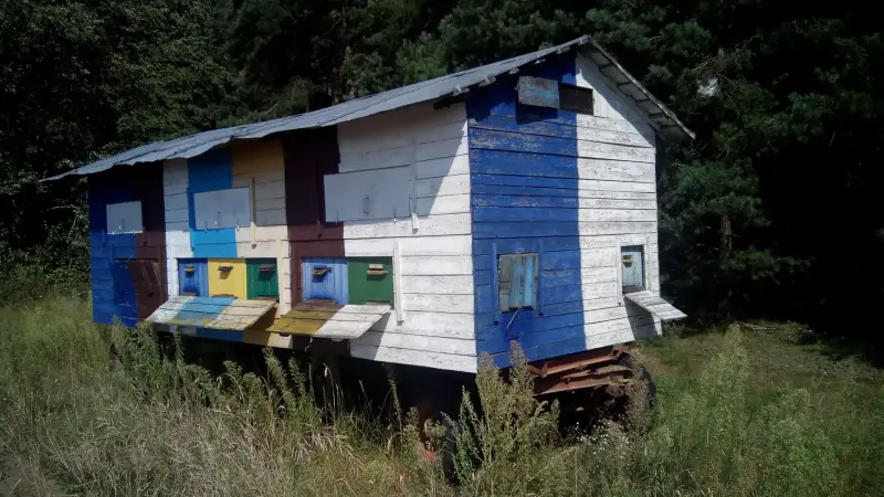 Передвижная пасека
