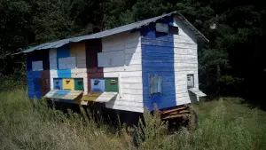 Передвижная пасека