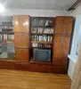 Секция бесплатно