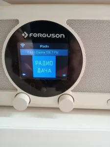 Радио Digital Internet radio Fergusion I300