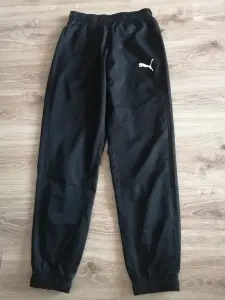 Спортивные штаны Puma, 170-176