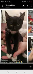 Мальчик Зайчик 3 месяца