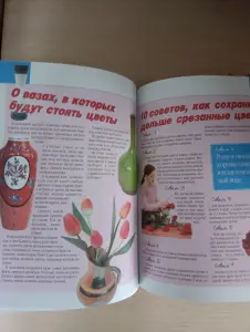 Книга. Энциклопедия для девочек.