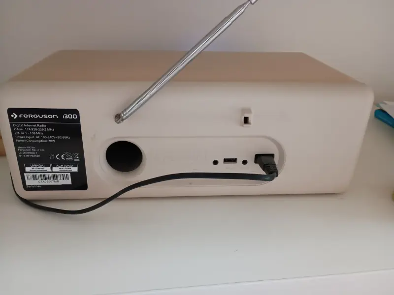 Радио Digital Internet radio Fergusion I300