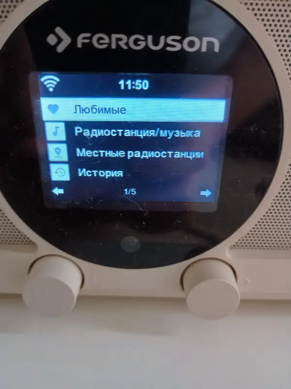 Радио Digital Internet radio Fergusion I300