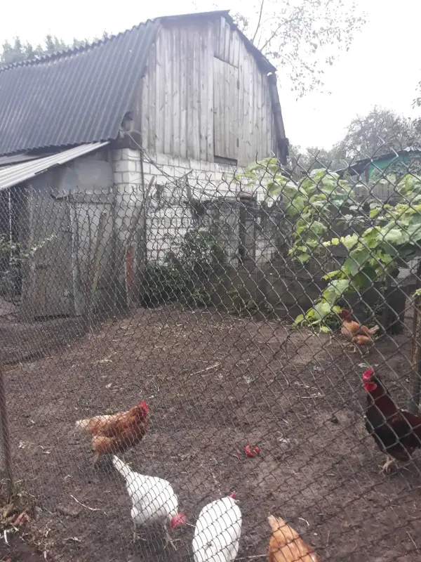Деревянный дом . Продажа