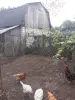 Деревянный дом . Продажа