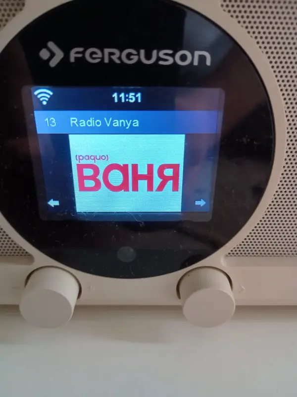 Радио Digital Internet radio Fergusion I300