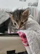 user_65775