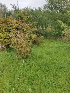 Продажа участка