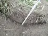 Фреза Для обработки различных почв