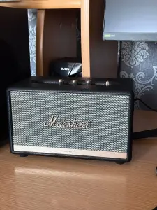 Акустическая система Marshall Acton 2