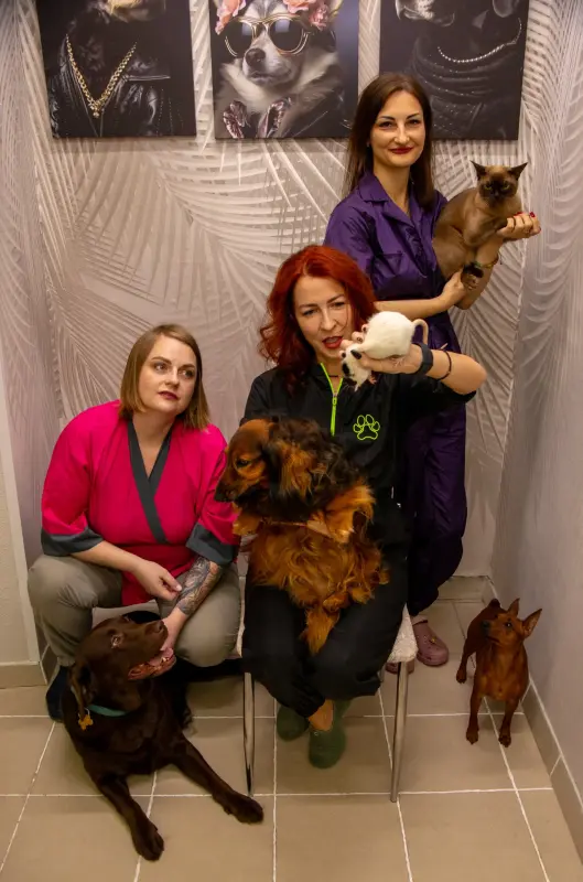 Частная и корпоративная фотосъёмка - фотограф для любого случая - Ветка - 219738 - Доска объявлений Kupika.by - Фото 13