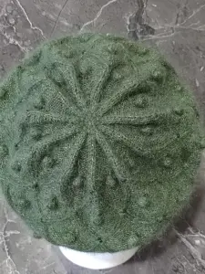 Вязаный берет.