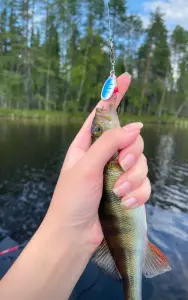 Блесна для рыбалки 16шт