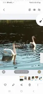 Продаётся Коттедж на берегу озера недострой под бизнес