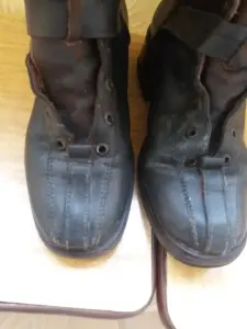 Сапоги женские зимние