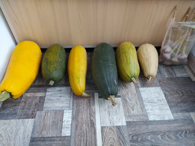 Кабачки и чеснок из деревни