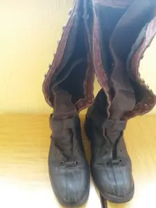 Сапоги женские зимние