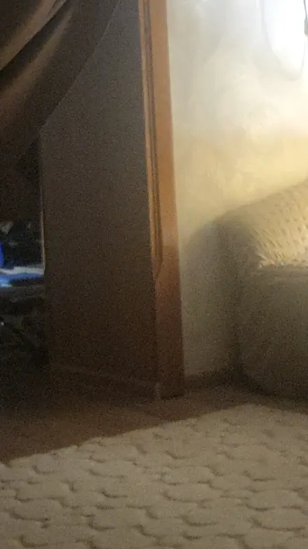 Продаётся Коттедж на берегу озера недострой под бизнес - Вся Беларусь - 226072 - Доска объявлений Kupika.by - Фото 3