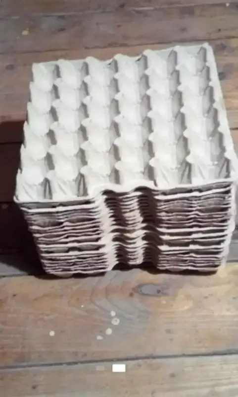 Грохотки для яиц