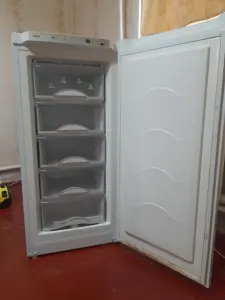 Маразильник Атлант