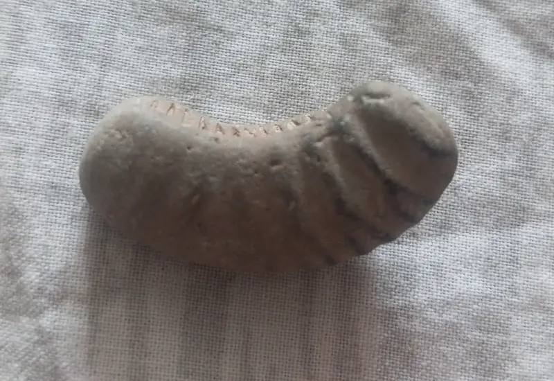 Окаменелости минералы.