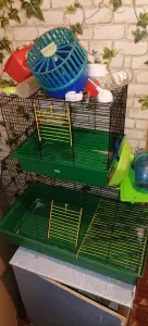 Клетки и мелочи для грызунов