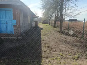 Дача  агрогородок Пелище