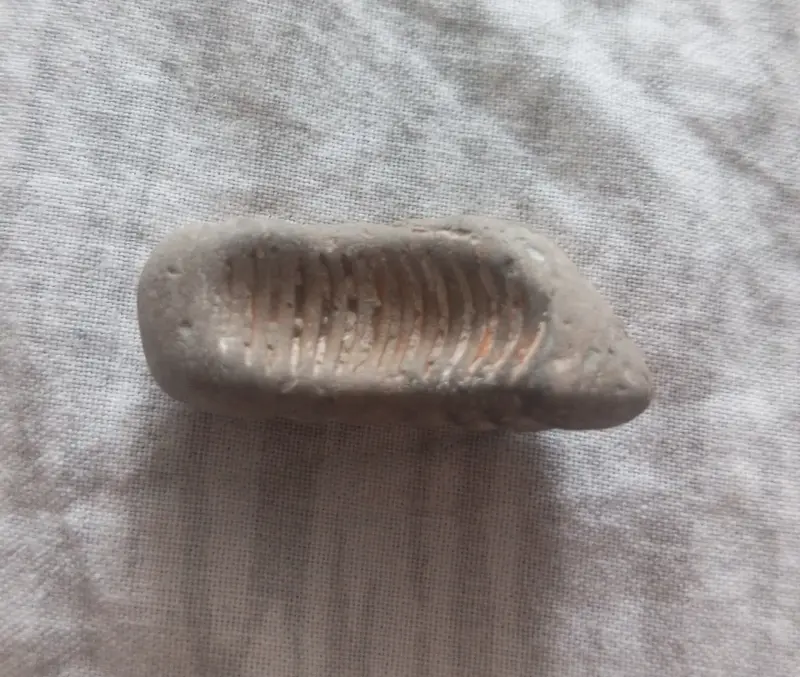 Окаменелости минералы.