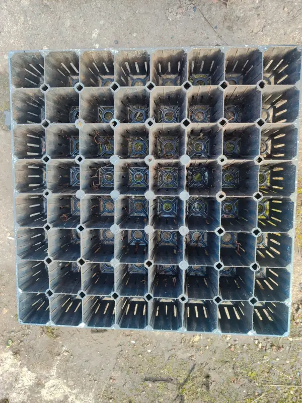 Кассета для рассады