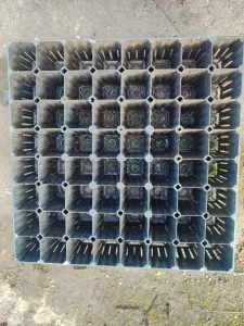 Кассета для рассады