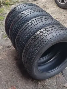 Зимние шины GISLAVED 205/55 R16 (4 шт.)