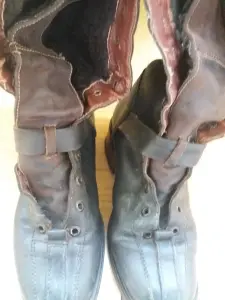 Сапоги женские зимние