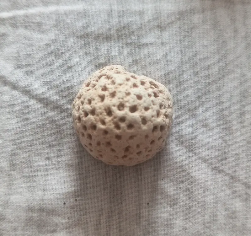 Окаменелости минералы.