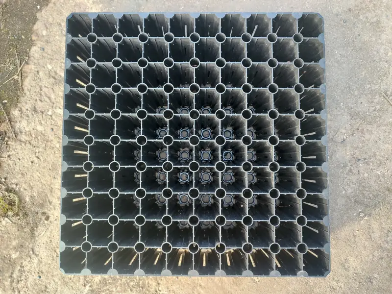 Кассета для рассады