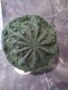 Вязаный берет.