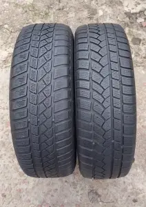 Шины зимние 195/65 R15 (2 шт.)