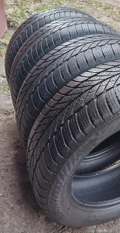 Зимние шины GISLAVED 205/55 R16 (4 шт.)