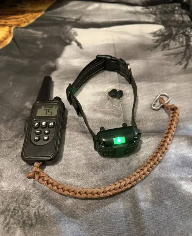 Дрессировочный электронный ошейник