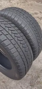 Шины зимние 195/65 R15 (2 шт.)