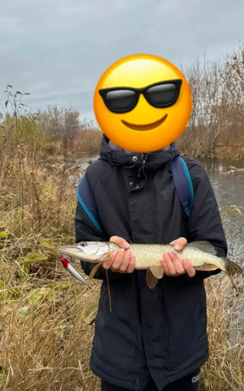 Воблеры для рыбалки 10 шт