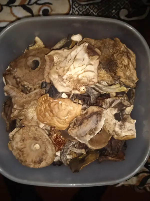 Грибы сушёные