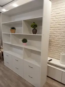 Стелаж-шкаф  подойдет и  для  дома и   для офиса