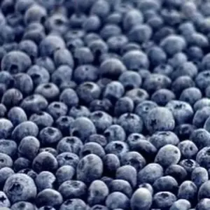 Голубика Домашняя 2025